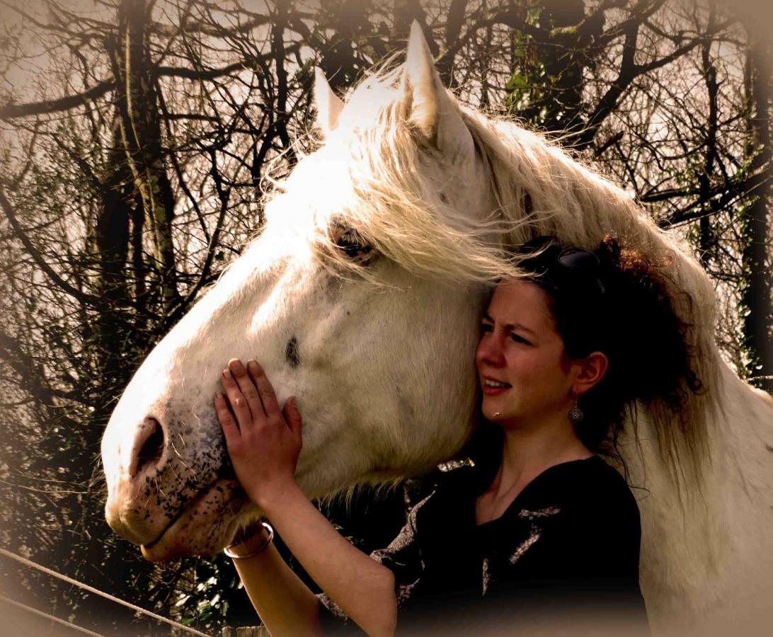 Une Roulotte Et Des Chevaux Trefflean Exterior photo